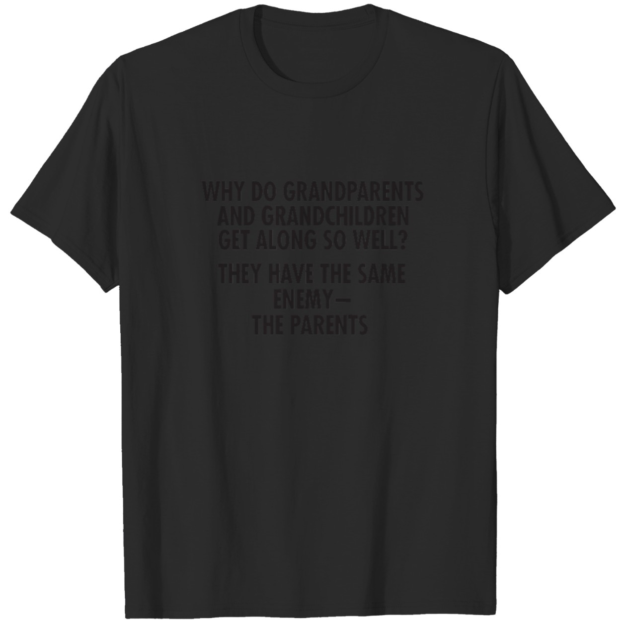 Why Do Grandparents And Grandchildren Get Along Graphic Tee DZT